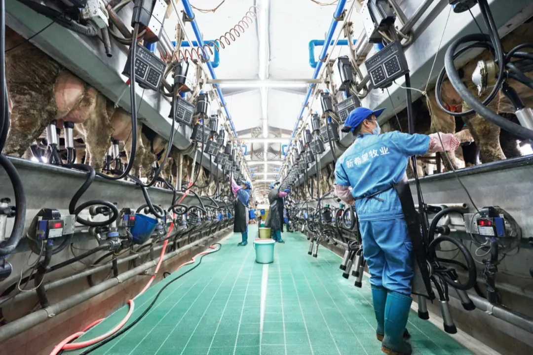 cc2796ea-8479-4213-9056-70ccd16df307